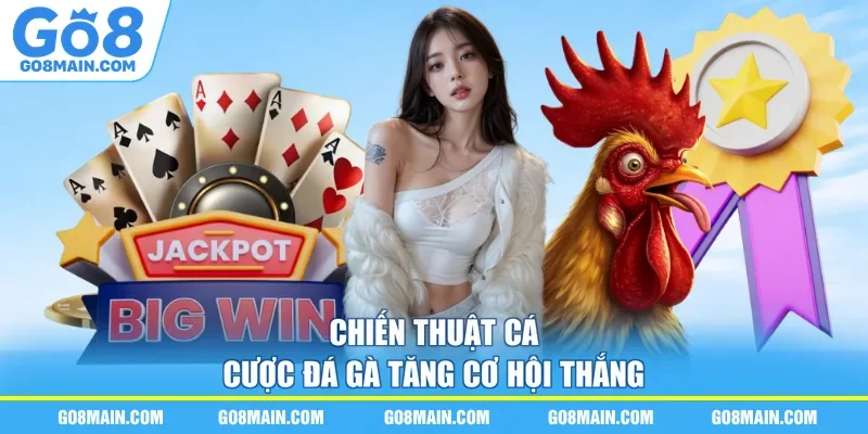 Chiến thuật cá cược đá gà tăng cơ hội thắng