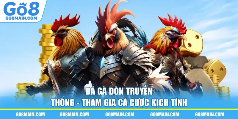 Đá Gà Đòn Truyền Thống - Tham Gia Cá Cược Kịch Tính