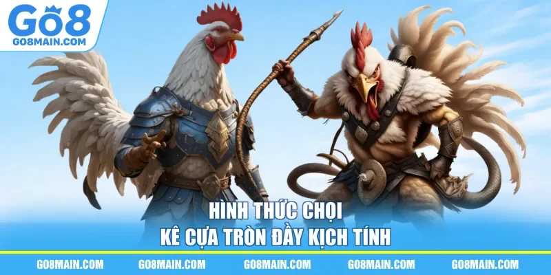 Hình thức chọi kê cựa tròn đầy kịch tính