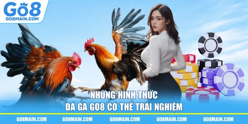 Những hình thức đá gà Go8 có thể trải nghiệm