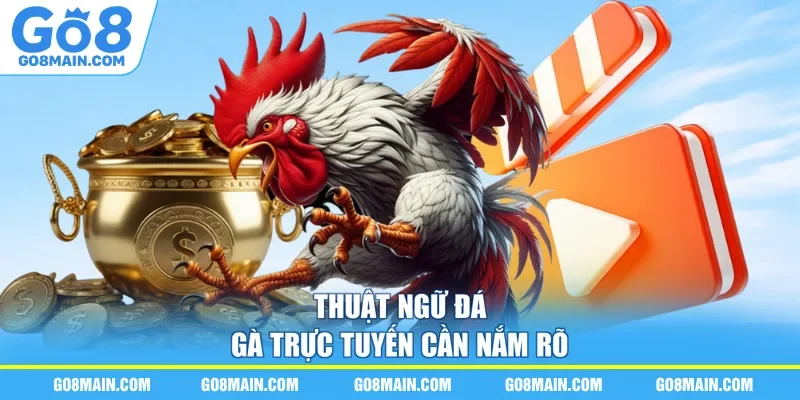 Thuật ngữ đá gà trực tuyến cần nắm rõ