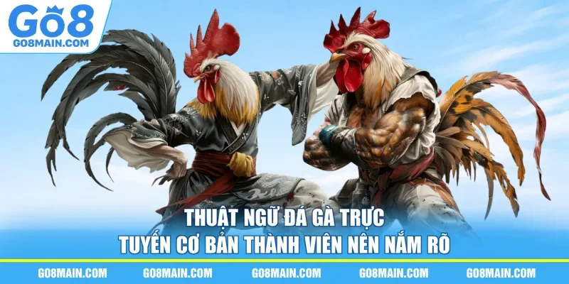 Thuật Ngữ Đá Gà Trực Tuyến Cơ Bản Thành Viên Nên Nắm Rõ