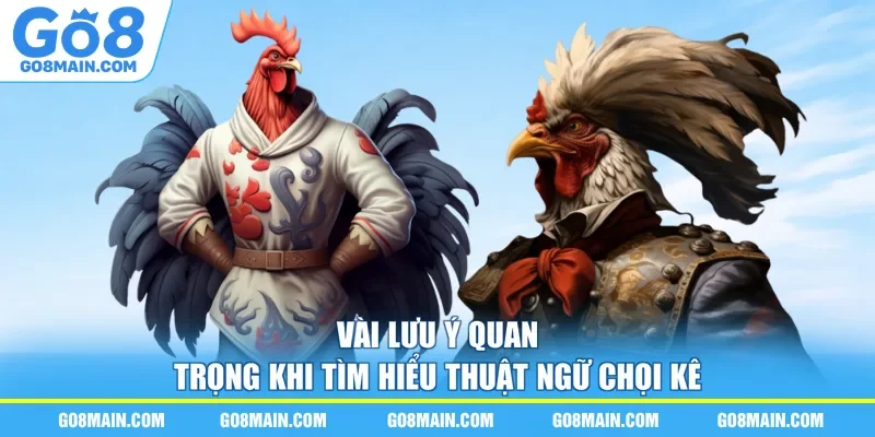 Vài lưu ý quan trọng khi tìm hiểu thuật ngữ chọi kê